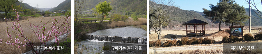 구매가는 복사꽃길과 길가 개울, 그리고 저리 부연 공원의 정자모습입니다.